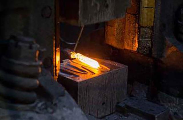 Metal Warm Forging