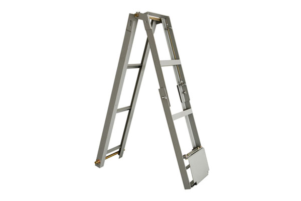 Elevator Pit Ladder